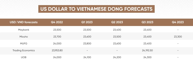 Dự báo tăng/giảm tỷ giá