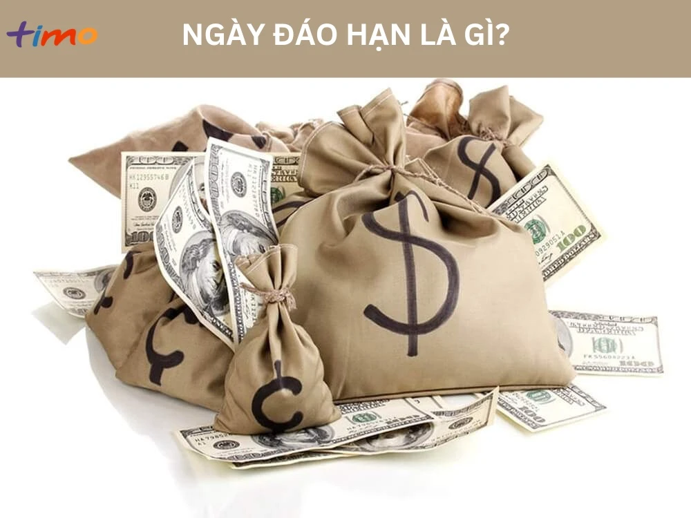 Ngày đáo hạn là gì?