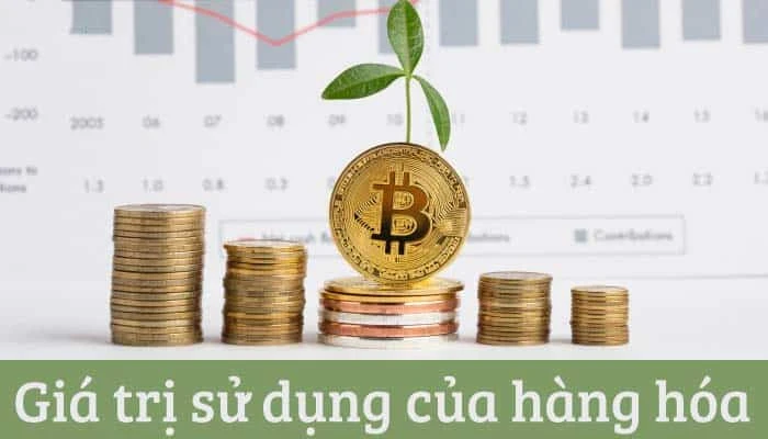 Giá trị sử dụng của hàng hóa