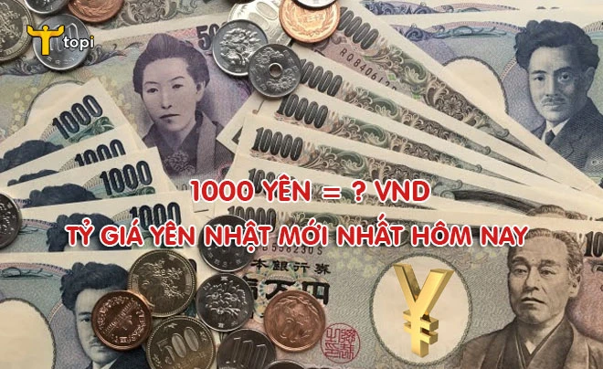 Yên Nhật và Đồng Việt Nam