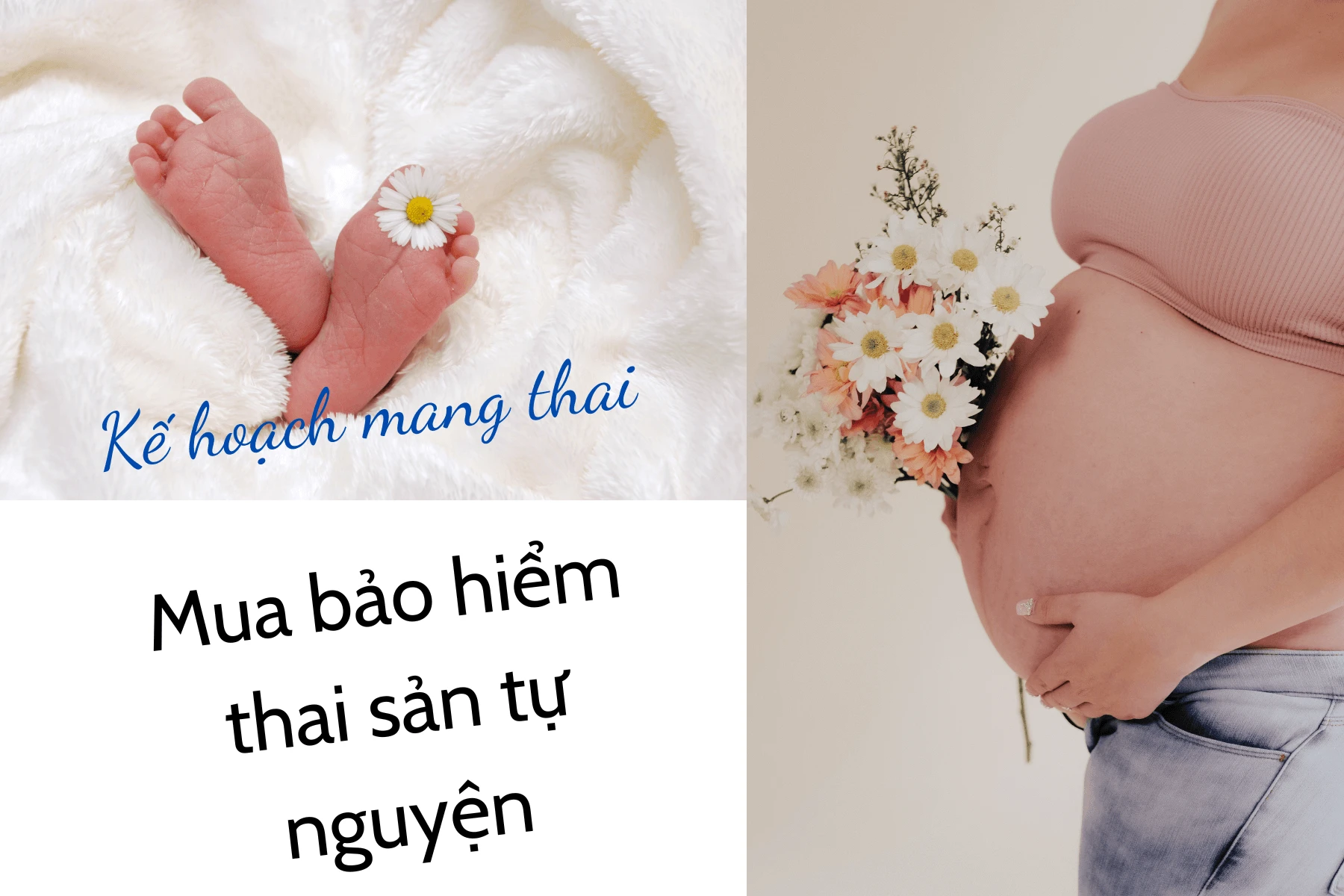 Lựa chọn bảo hiểm thai sản phù hợp