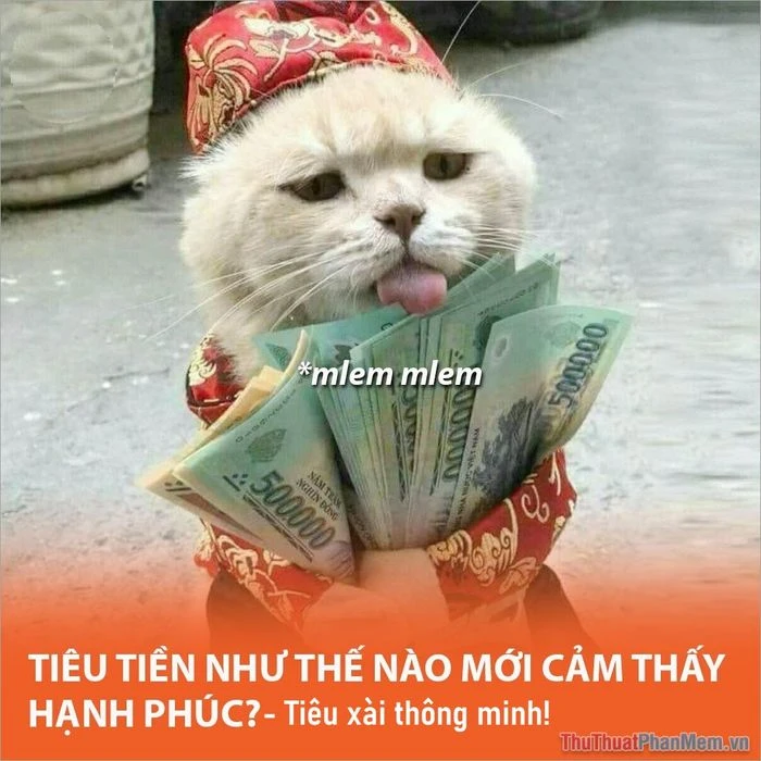 Khái niệm về xài hay sài