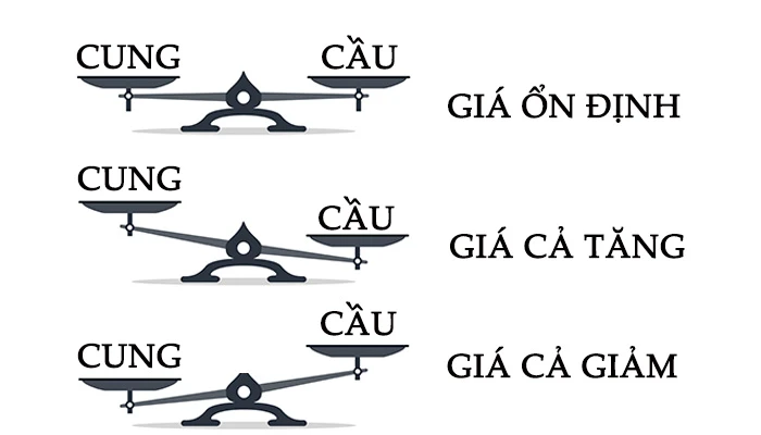 Mối quan hệ giữa cung và cầu hàng hóa