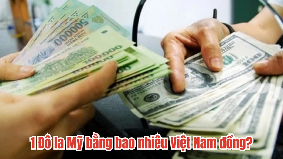 Biểu đồ tỷ giá USD/VND