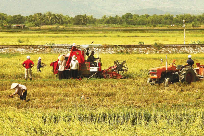 Thị trường lao động ổn định