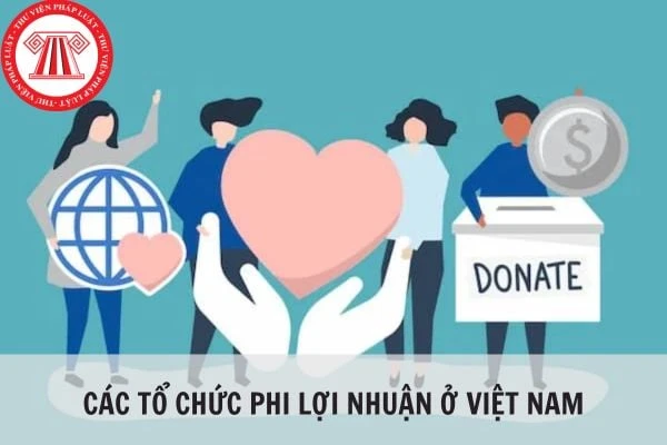 Mục đích tổ chức phi lợi nhuận