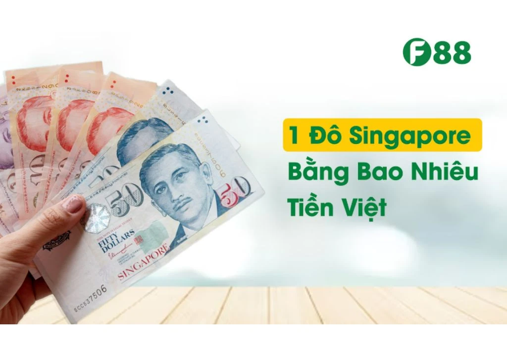 Biểu đồ tỷ giá