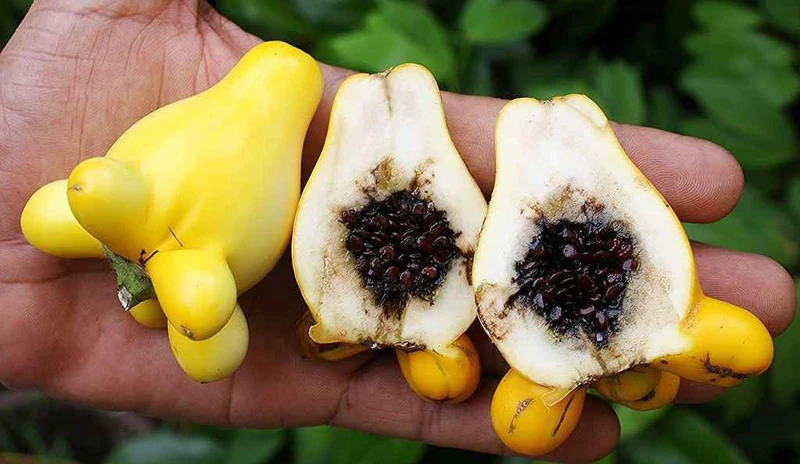 Công nghệ trong quản lý