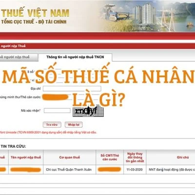 Hình ảnh mã số thuế cá nhân