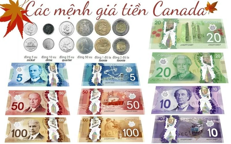 Tỷ giá đô la Canada