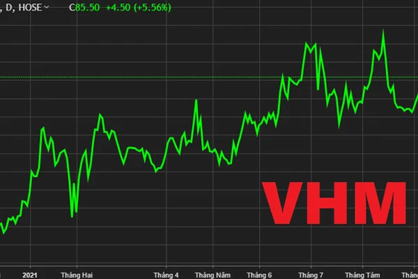 Biểu đồ giá cổ phiếu Vinhomes