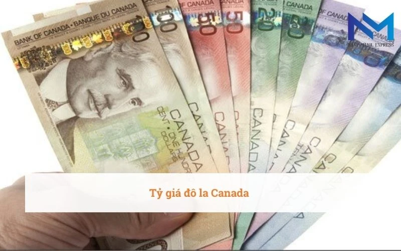Tỷ giá Đô-la Canada hôm nay