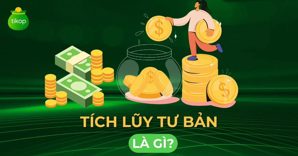 Tích lũy tư bản