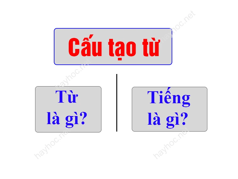 Tu hành