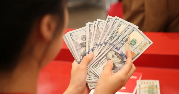 Kiểm Soát Chất Mua Bán USD