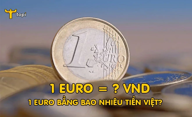 Hình ảnh Euro và đồng Việt Nam