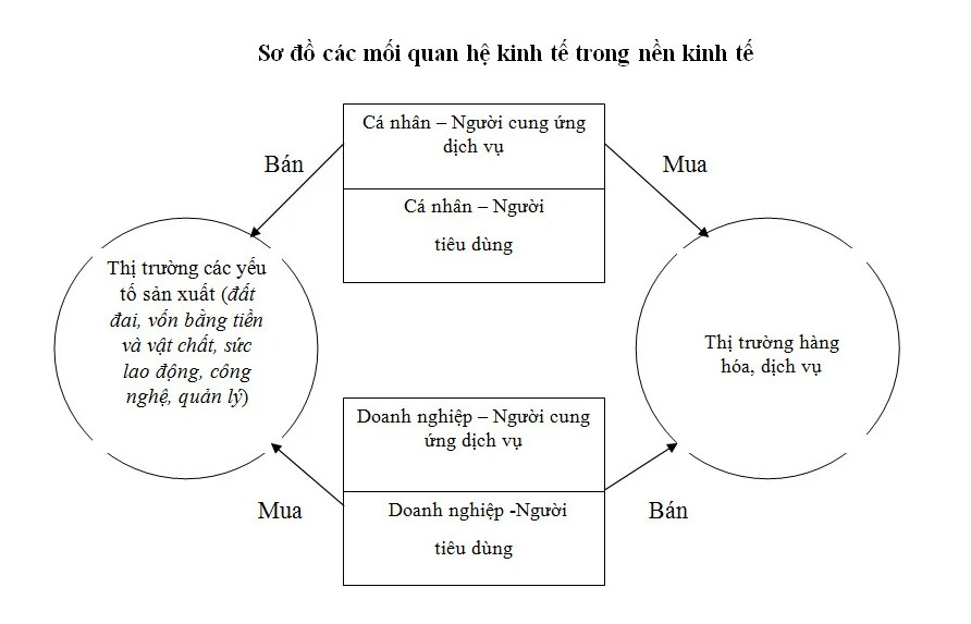 Hình 1: Sơ đồ quan hệ kinh tế trong nền kinh tế thị trường