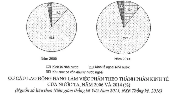 Biểu đồ cơ cấu lao động theo thành phần kinh tế