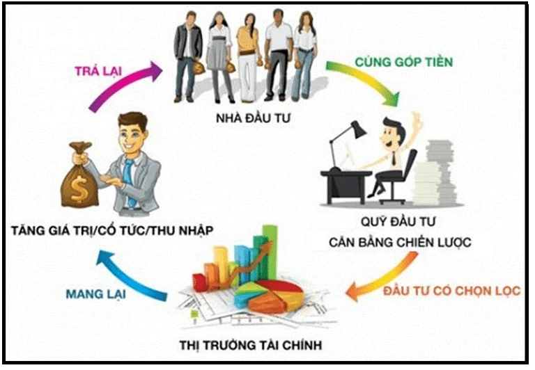 Vai trò của hệ thống tài chính
