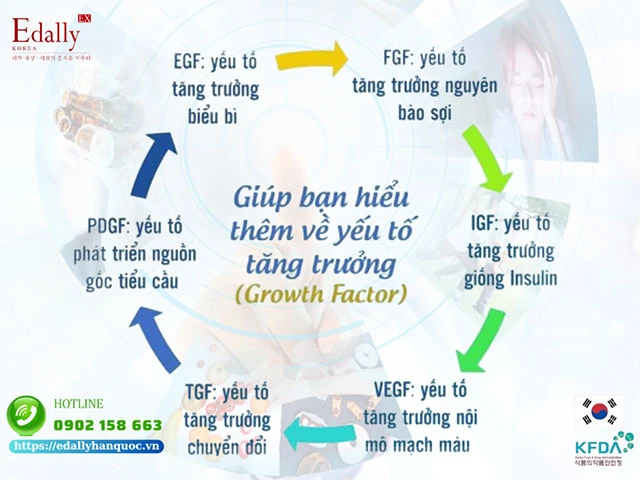 Yếu tố trong phát triển