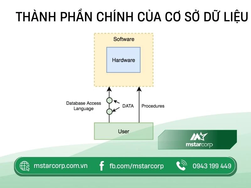 Các thành phần của cơ sở dữ liệu