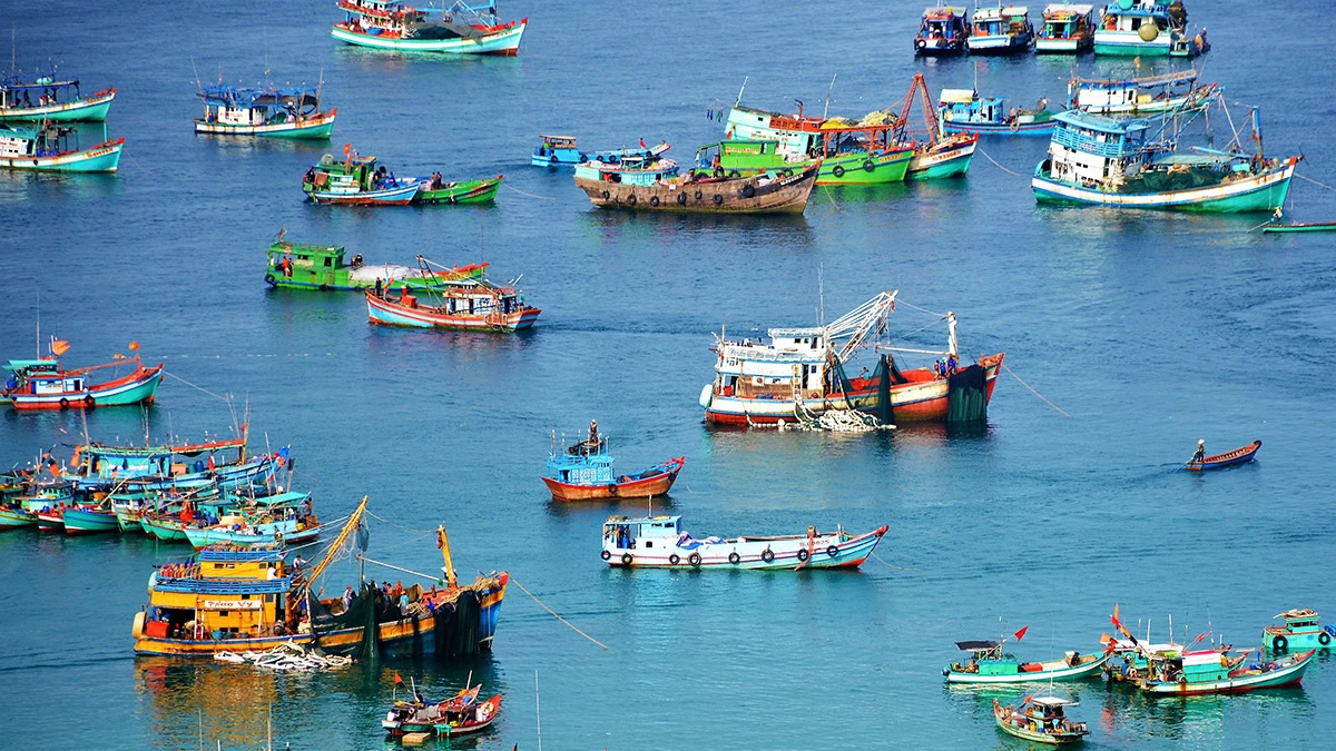 Tình hình nuôi trồng thủy sản tại nước ta hiện nay