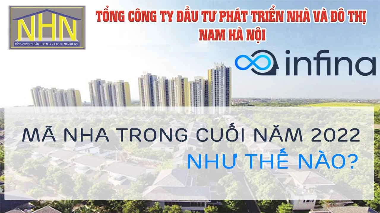 Tổng công ty đầu tư phát triển nhà và đô thị Nam Hà Nội