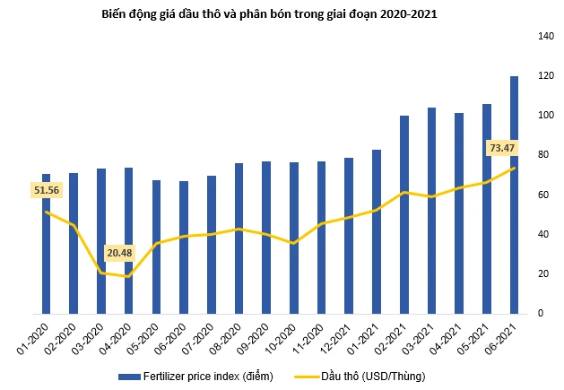 Biểu đồ biến động giá cổ phiếu DPM