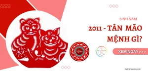Phong thủy cho người sinh năm 2011