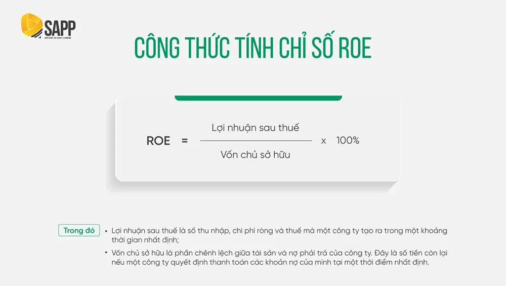 Chỉ số ROE