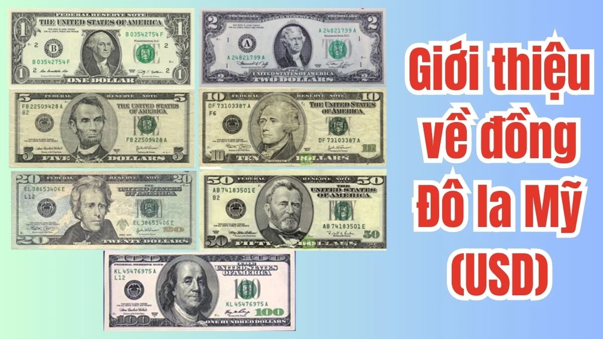 Quy đổi Đô La Mỹ sang Đồng Việt Nam