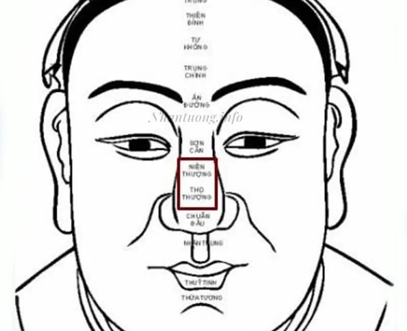 Khái niệm về niên thượng