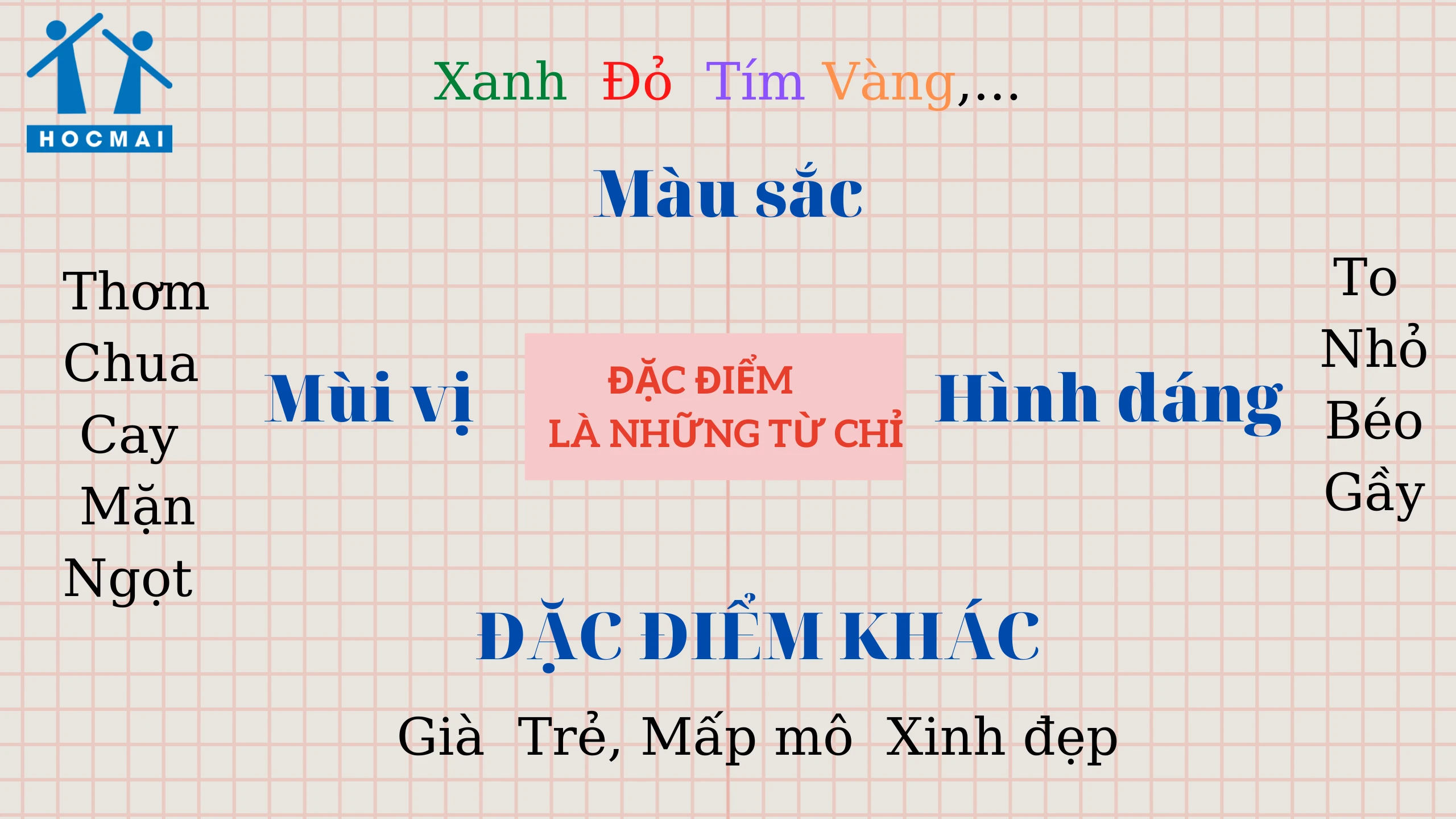 Hình ảnh minh họa đặc điểm
