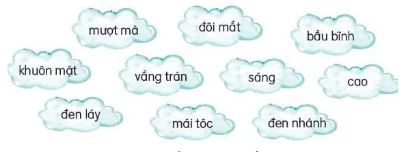 Đặc điểm của động vật