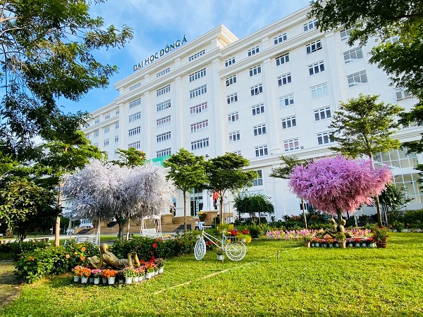 Hệ thống giáo dục