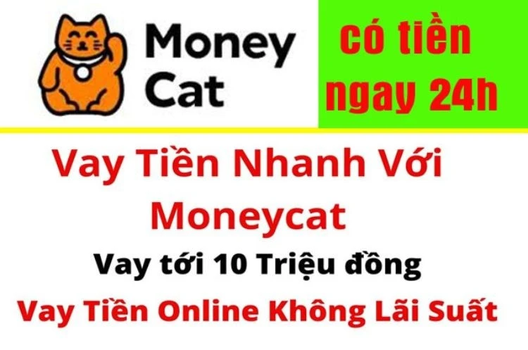 MoneyCat cung cấp dịch vụ vay tốt