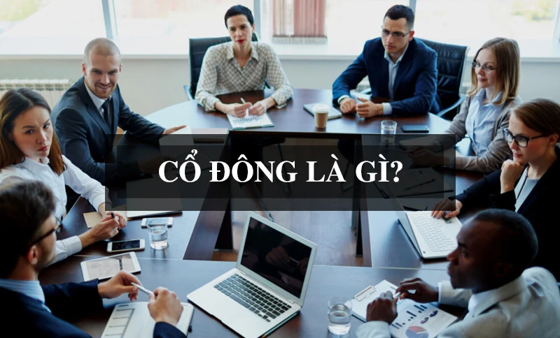 Cổ đông là cá nhân hoặc tổ chức sở hữu ít nhất một cổ phần của công ty cổ phần.