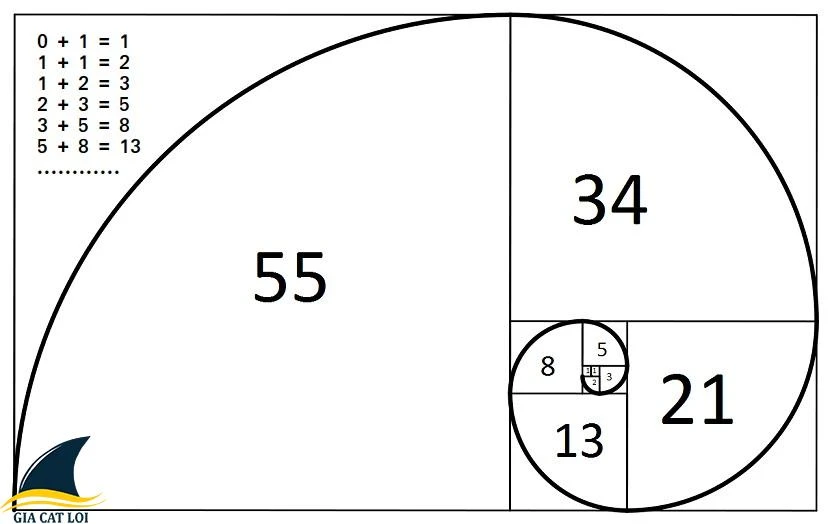 Fibonacci trong thiên nhiên