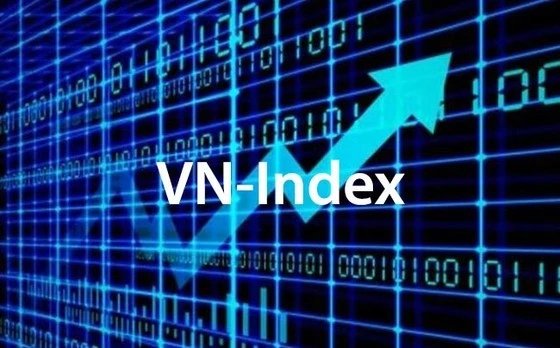 Cấu trúc chỉ số chứng khoán Việt Nam