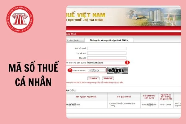 Tra cứu thông tin thuế cá nhân và doanh nghiệp