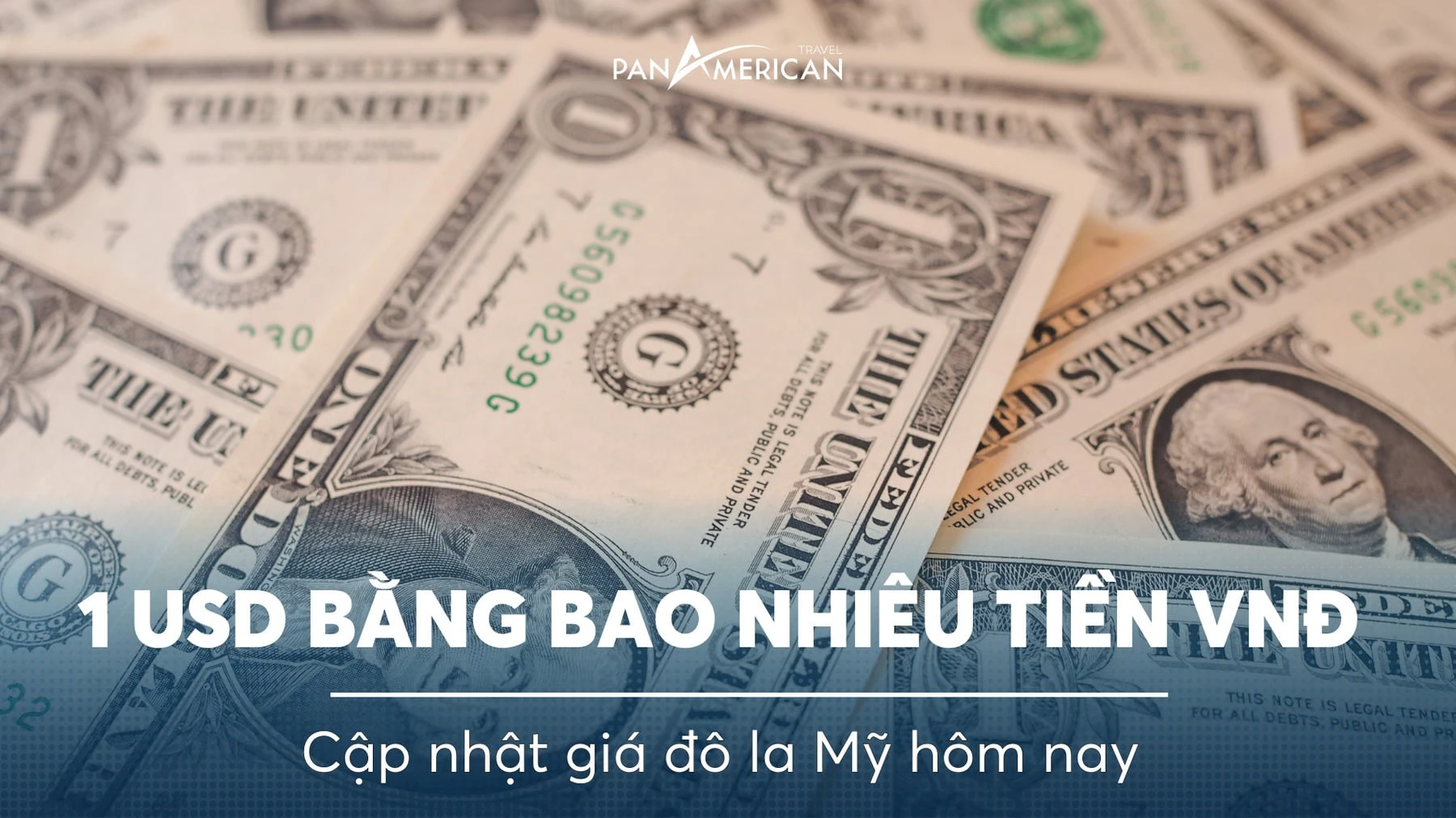 Cập nhật tỷ giá đô la Mỹ
