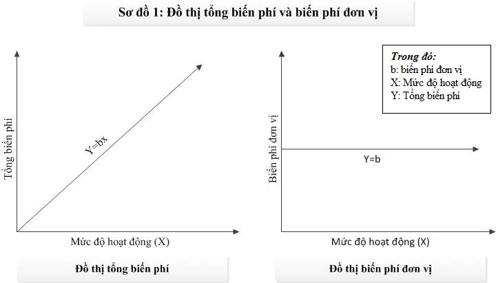 Dự đoán lợi nhuận