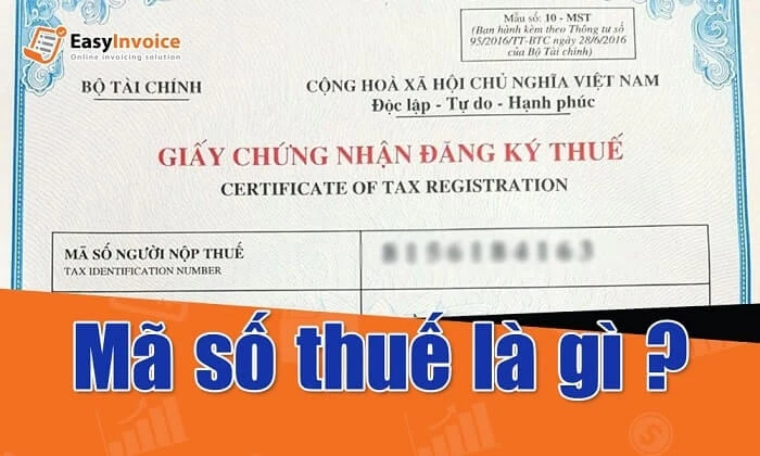 Mã số thuế là gì?