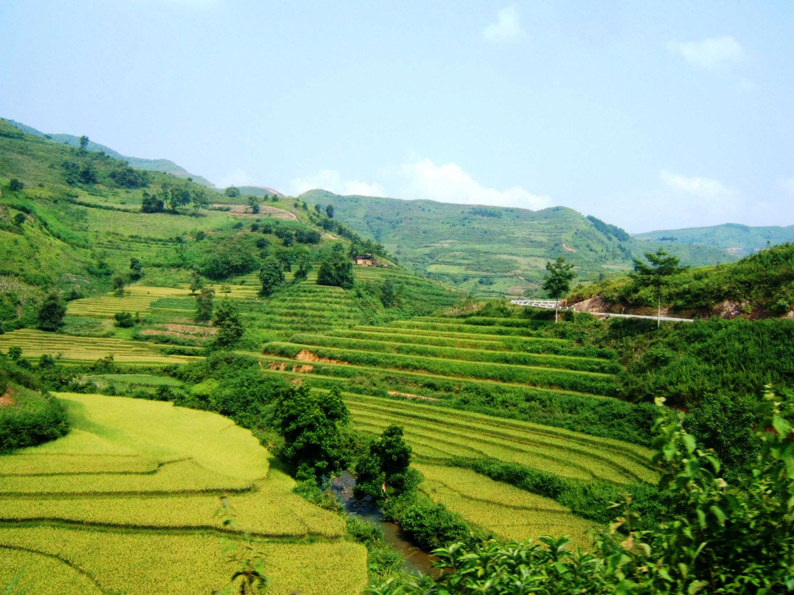 Khung cảnh bình yên