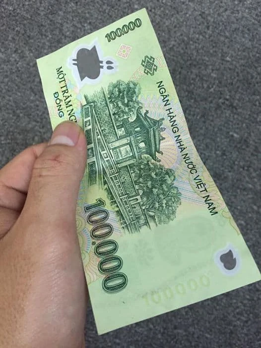 Bộ 6 tờ Việt Nam từ 50 đồng đến 100 nghìn đồng