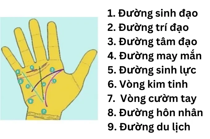 Hình ảnh chỉ tay