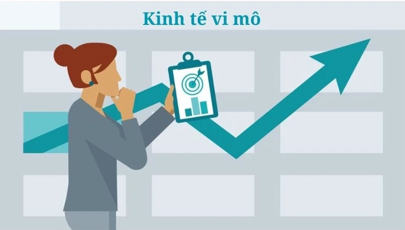 Hình ảnh minh họa kết luận về kinh tế vi mô