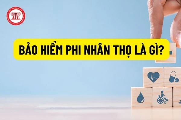 Đặc điểm bảo hiểm phi nhân thọ