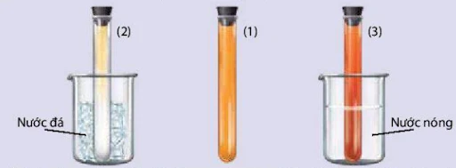 Hình minh họa về nhiệt độ ảnh hưởng đến cân bằng hóa học