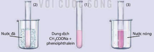 Sơ đồ biểu diễn các yếu tố ảnh hưởng đến cân bằng hóa học